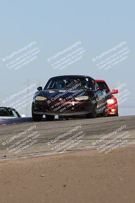 media/Nov-24-2023-Speed SF (Fri) [[8629a6e656]]/Gold/Session 2 (Grapevine)/